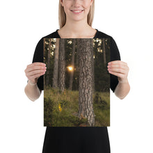 Load image into Gallery viewer, Nature's awakening - poster