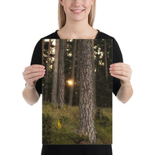 Load image into Gallery viewer, Nature's awakening - poster