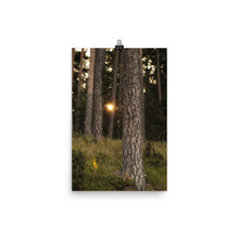 Load image into Gallery viewer, Nature's awakening - poster