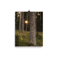 Load image into Gallery viewer, Nature's awakening - poster