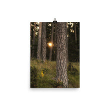 Load image into Gallery viewer, Nature's awakening - poster
